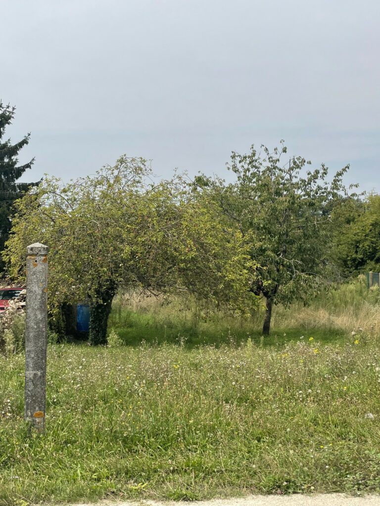 Dry Le Haut-Midi