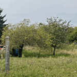 dry-768-rue-francis-carret-photo-283