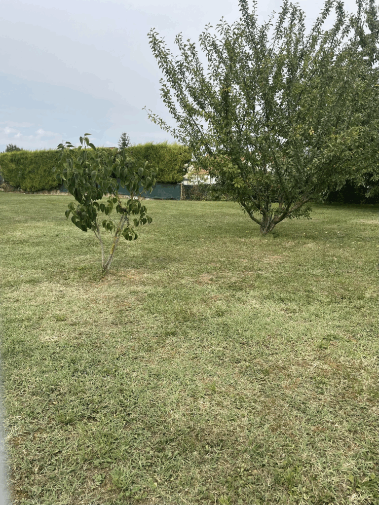 Beaugency