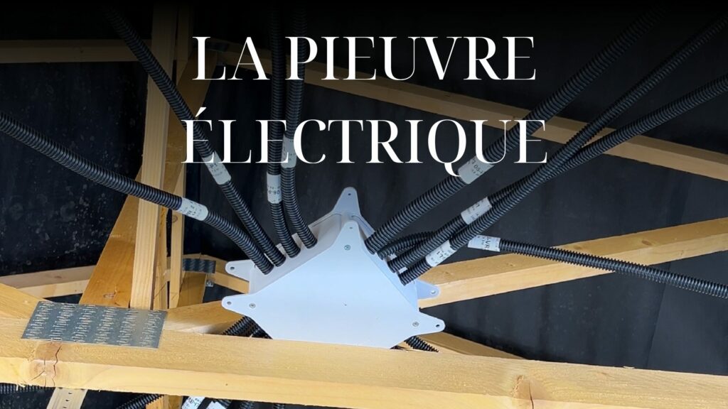 La pieuvre électrique