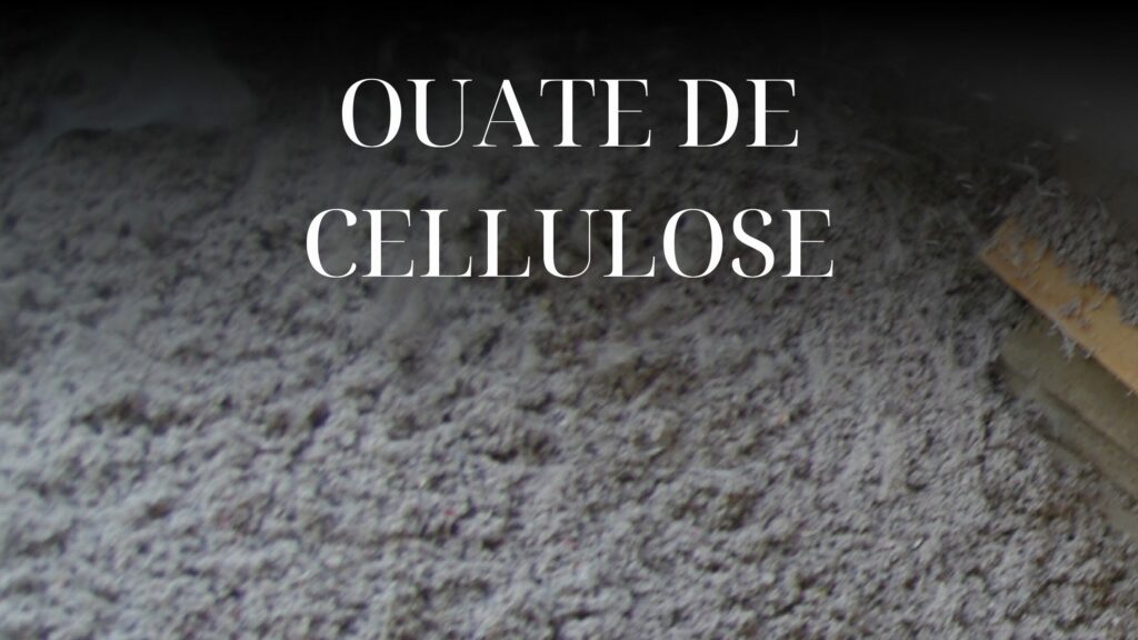 ouate de cellulose